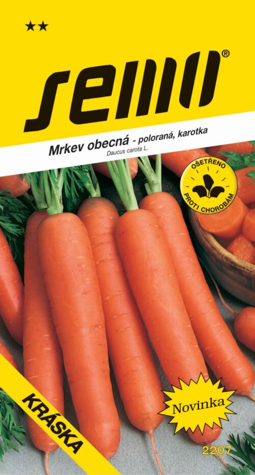 Mrkev Karotka - Kráska raná 2g - Obrázek 1