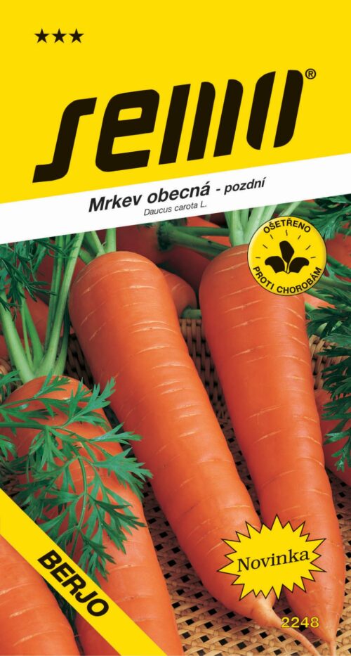 Mrkev - Berlikumer 2 (Romosa) pozdní 300s - Image 1