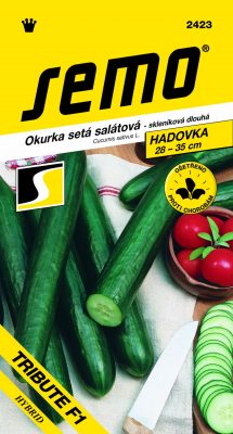 Okurka sklen. - Tribute F1 velmi dl 10s