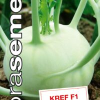 Dobrá semena Kedluben bílý - Kref F1 raný 40s