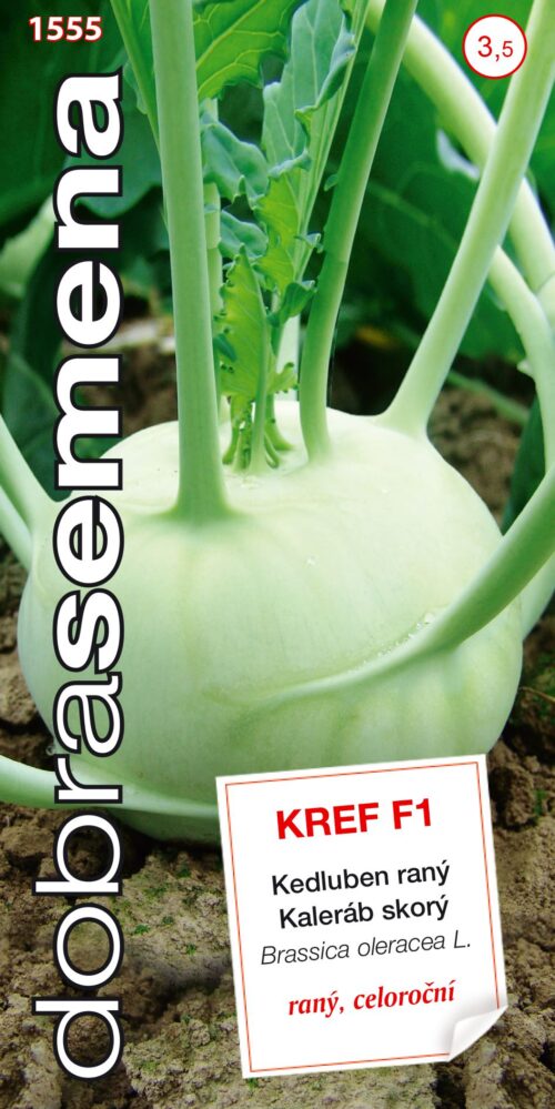 Dobrá semena Kedluben bílý - Kref F1 raný 40s - Obrázek 1
