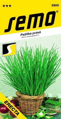 Pažitka - Erecta, vzpřímená 2g