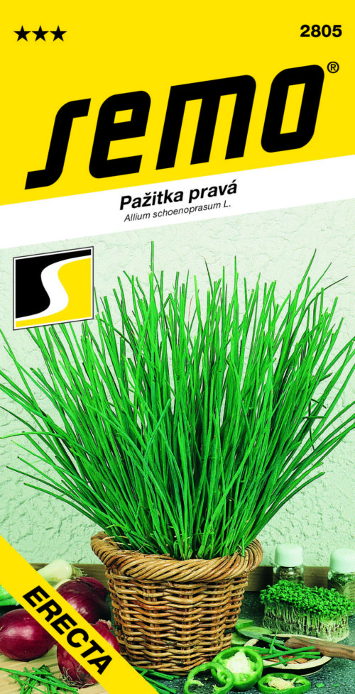 Pažitka - Erecta, vzpřímená 2g - Obrázek 1