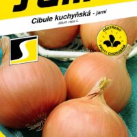 Cibule jarní - Dagmar žlutá 2,5g