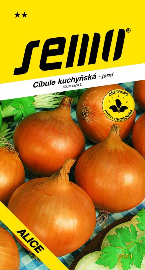 Cibule jarní - Alice žlutá 2g - Obrázek 1