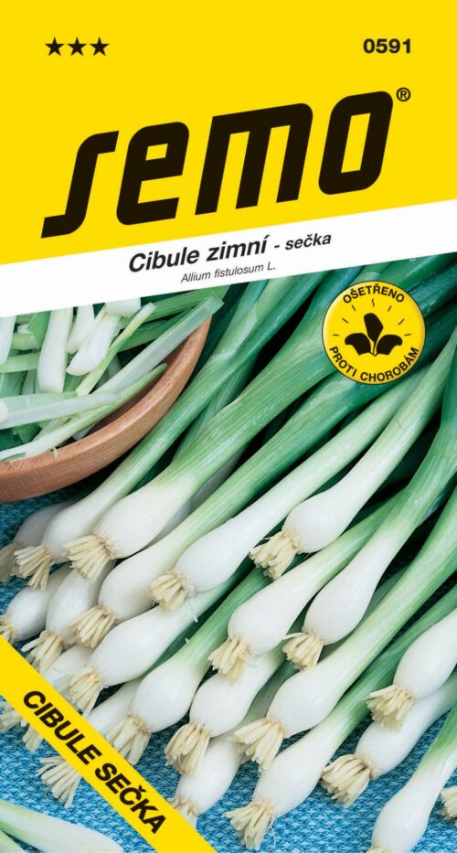 Cibule sečka - Gerda zimní, celoročně pro nať 2g - Obrázek 1