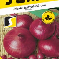 Cibule jarní - Karmen červená 2g