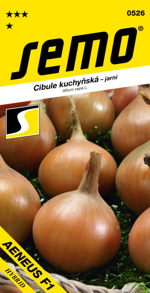 Cibule jarní - Aeneus žlutá 2,5g - Obrázek 1