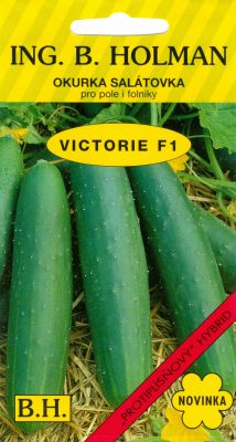 Okurka salát. Holman - Viktorie F1 1,5 g