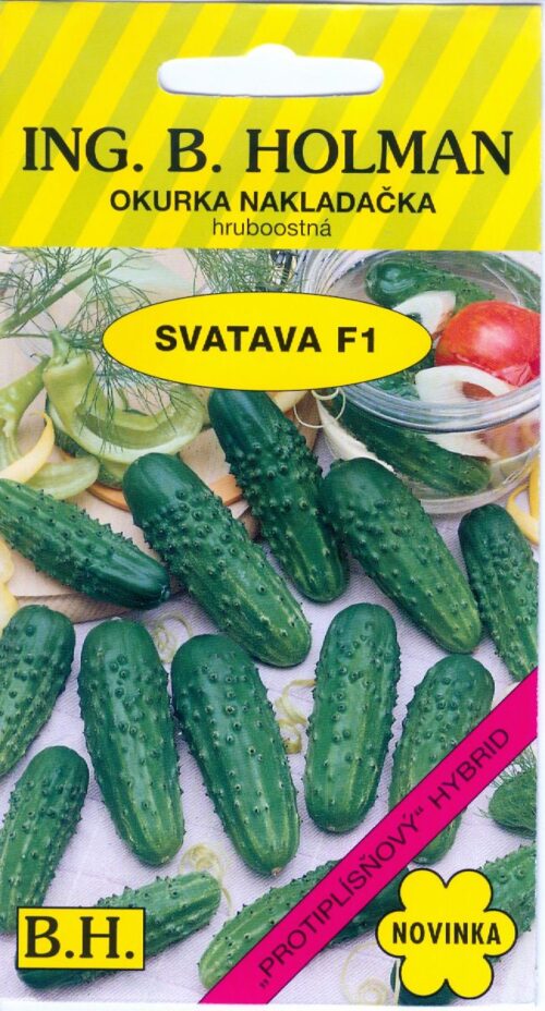 Okurka nakl. Holman - Svatava F1 hr 2 g - Obrázek 1