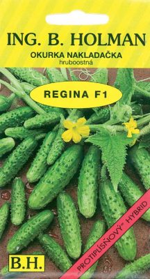 Okurka nakl. Holman - Regina F1 hr 2 g