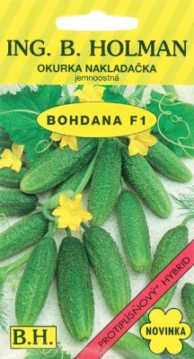 Okurka nakl. Holman - Bohdana F1 hu 2 g