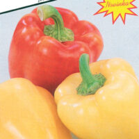 Paprika F1 - Žluťásek F1 15-20 semen