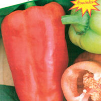 Paprika   Stalagnit 15 20 semen