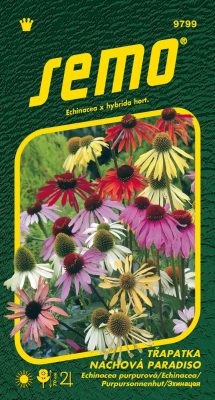 Třapatka nachová - Paradiso 12s