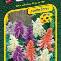 Šalvěj zářivá - směs 30s - série PALETA