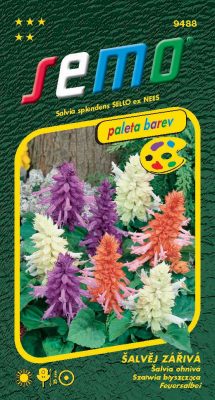 Šalvěj zářivá - směs 30s - série PALETA