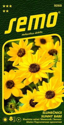 Slunečnice slabá - Sunny Babe (Piccolo) 1,2g - série NEKTAR PÁRTY