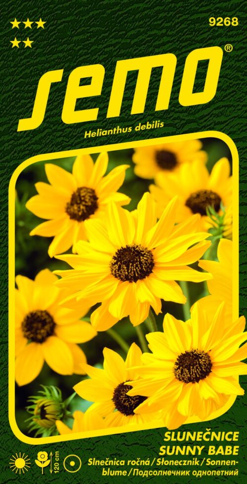 Slunečnice slabá - Sunny Babe (Piccolo) 1,2g - série NEKTAR PÁRTY - Obrázek 1