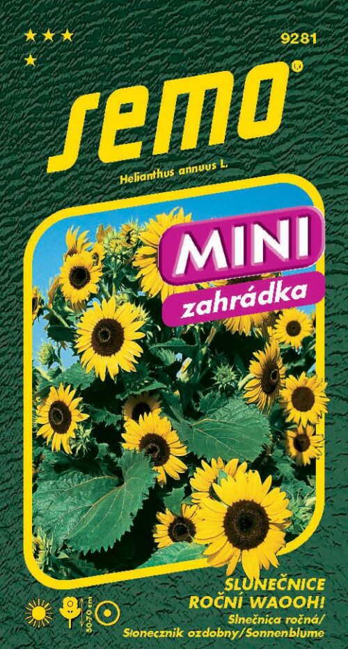 Slunečnice roční - Waooh! 0,8g - série MINI - Obrázek 1