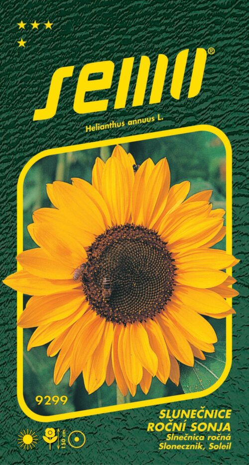 Slunečnice roční - Sonja 15s - Obrázek 1