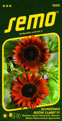 Slunečnice roční - Claret F1 8s