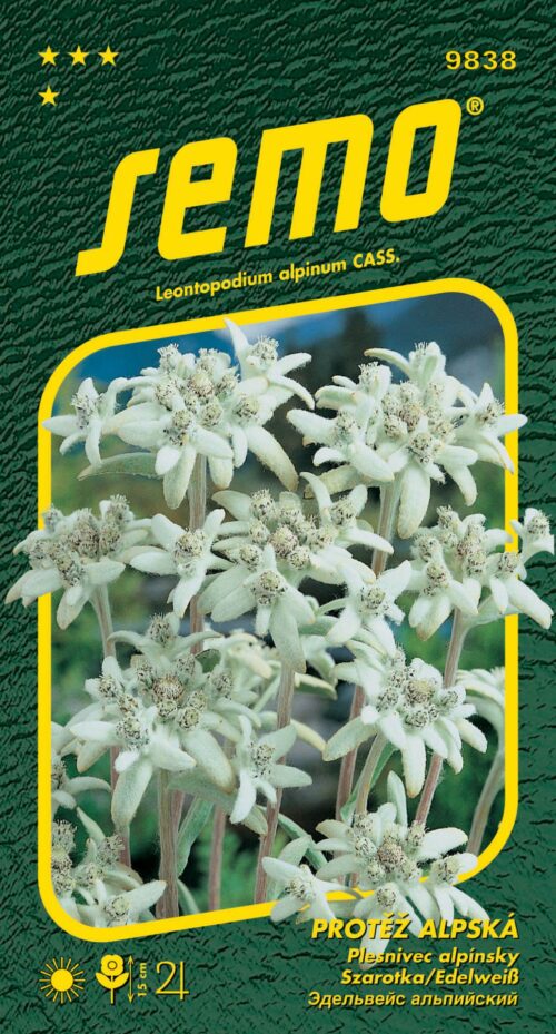 Protěž alpská - Edelweiss 0,1g - Obrázek 1