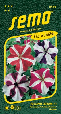 Petunie velkokvětá - Star F1 30p