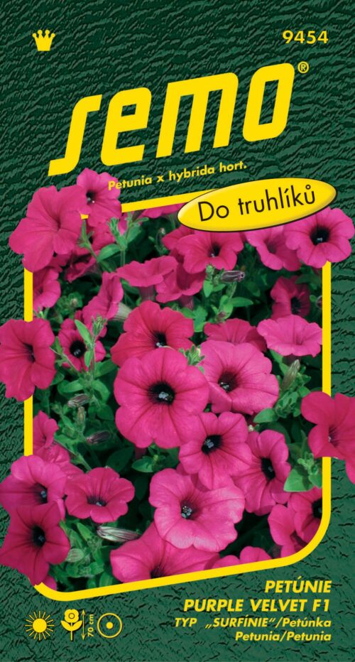 Petunie převislá - Purple Velvet F1 (typ Surfinie) 10p - Obrázek 1