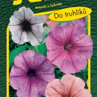 Petunie mnohokvětá - směs s orchid hvězdou F1 50p