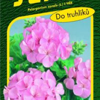 Pelargonie páskatá - růžová 11s