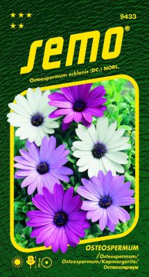 Osteospermum - směs Balade 0,30g