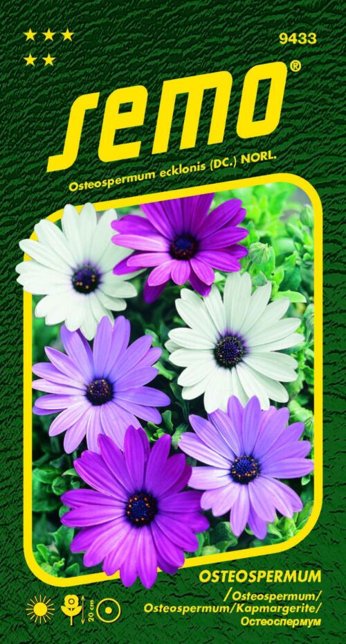 Osteospermum - směs Balade 0,30g - Obrázek 1