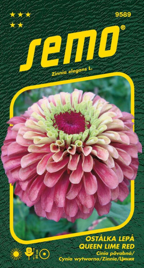 Ostálka lepá - Queen Lime Red 15s - Obrázek 1