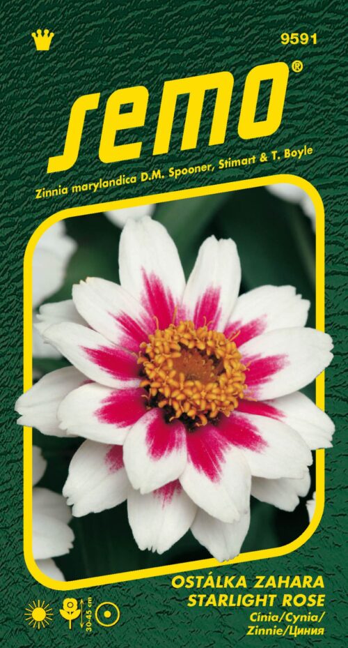 Ostálka - Zahara® Starlight Rose 15s - Obrázek 1