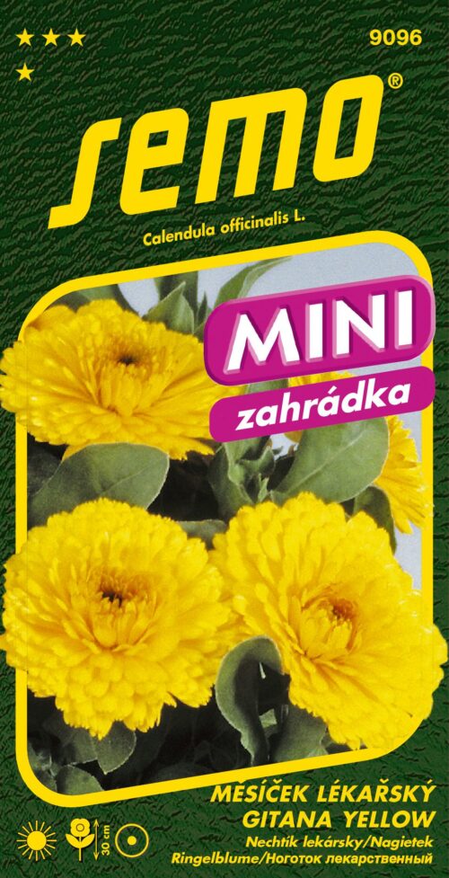 Měsíček lékařský - Gitana Yellow (Bon Bon Yellow) 20s - série MINI - Obrázek 1