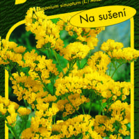 Limonka Statice sinuata - Gold Coast žlutá 0,5g