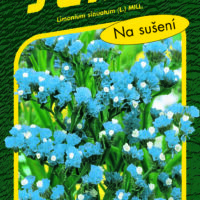 Limonka Statice sinuata - Heavenly Blue modrá 0,5g