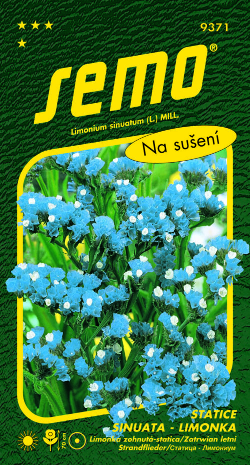 Limonka Statice sinuata - Heavenly Blue modrá 0,5g - Image 1