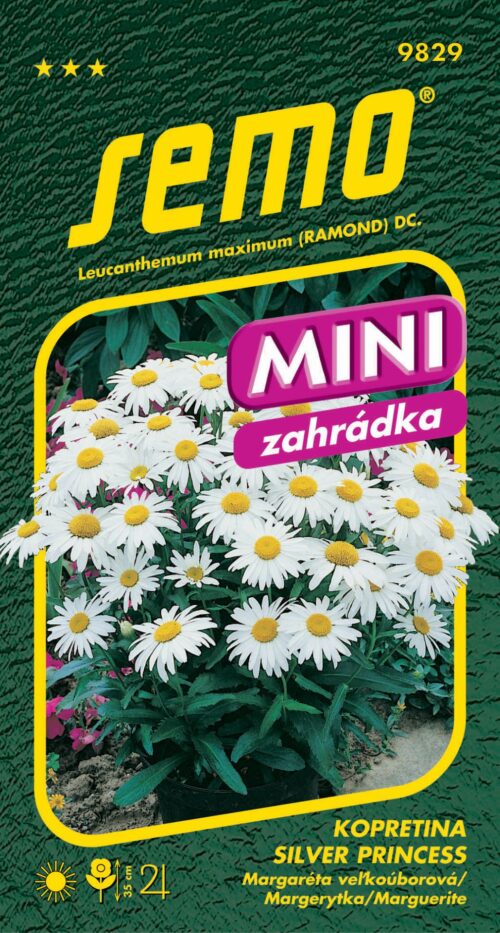 Kopretina bílá - Silver Princess 0,3g - série MINI - Obrázek 1