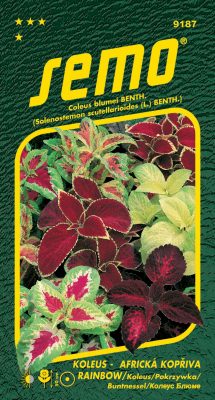 Koleus (Africká kopřiva) - Rainbow 0,15g