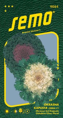 Kapusta okrasná - Coral F1 mix 20s