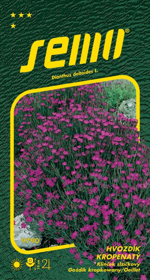 Hvozdík kropenatý - Maiden pink 0,1g - Obrázek 1