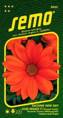 Gazánie zářivá - New Day Clear Orange F1 15s