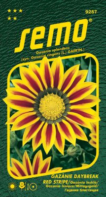 Gazánie zářivá - Daybreak Red Stripe F1 15s