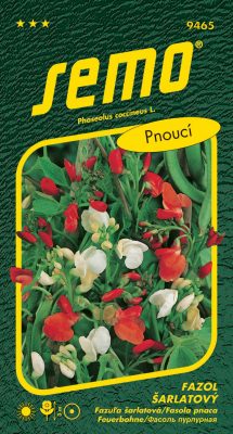 Fazol šarlatový - pnoucí červenobílý 9s