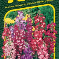 Dračík - Penstemon směs 0,1g