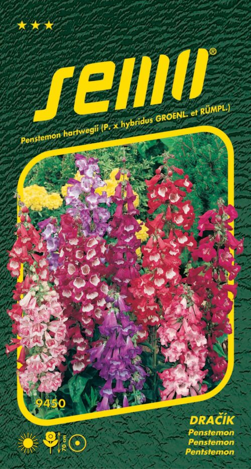 Dračík - Penstemon směs 0,1g - Obrázek 1