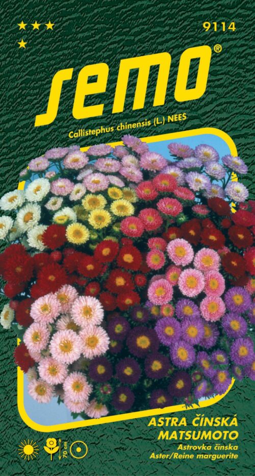 Astra čínská - Matsumoto směs 0,3g - Obrázek 1