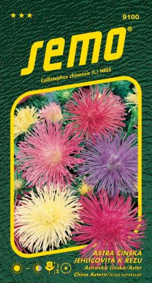 Astra čínská - jehlicovitá Electric směs 0,5g